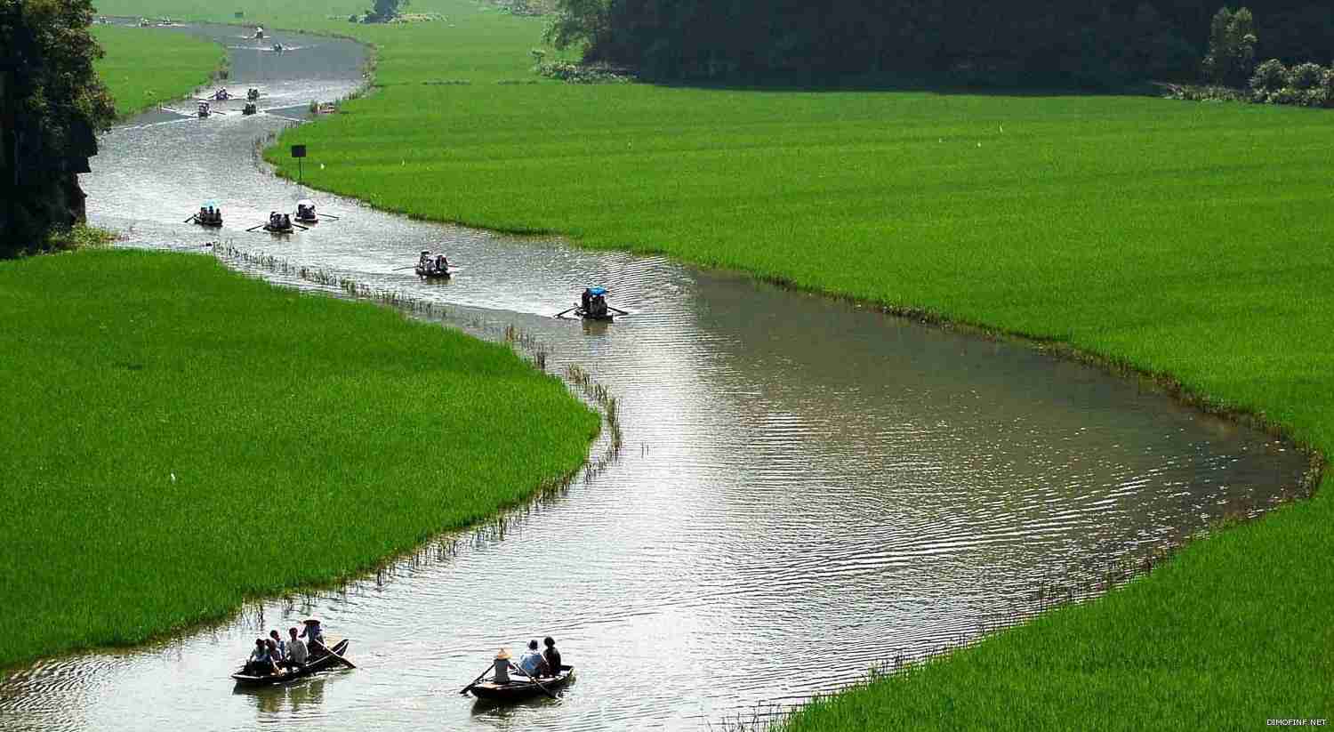 نهر سونغ فيتنام