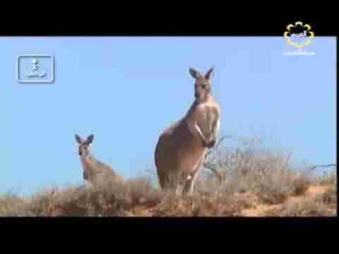 أخر محميات الطبيعة : غرب أستراليا