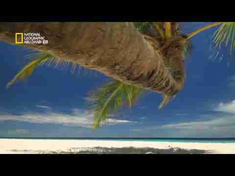 وثائقي جزر الكاريبي = الجزر البريّة Geographic Abu Dhabi HD