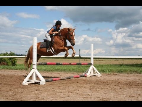 فوائد رياضة  ركوب الخيل ( الفروسية ) للجسم