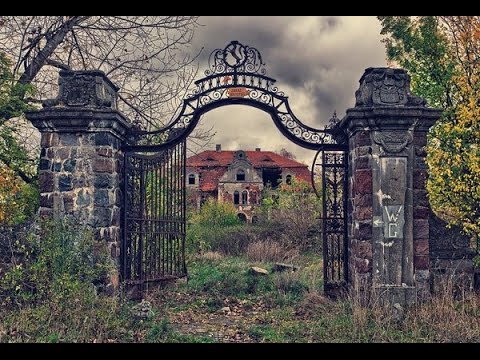 وثائقي l حدائق الغامضة تعتبر الغابة الساحره من اروع الاماكن الديناصورات الضخمة Mysterious gardens l