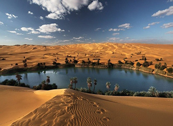 صحراء السعودية أبهرت العالم الاسترالي
